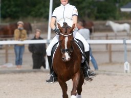 IMG_8189_web